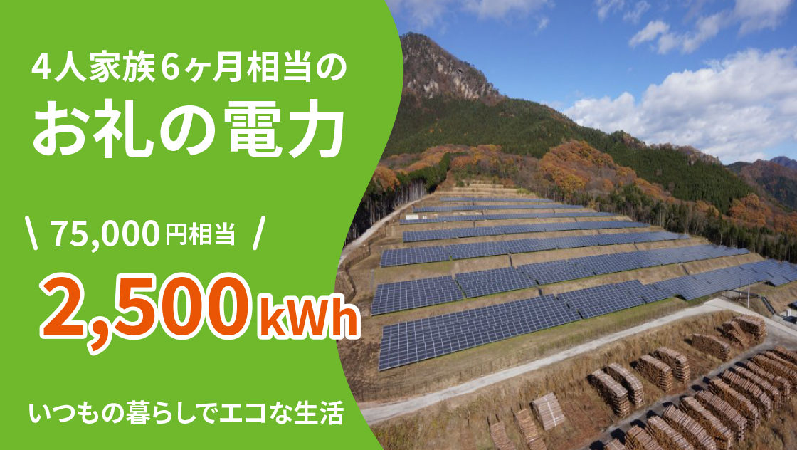 4人家族6ヶ月相当のお礼の電力